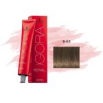 Color Igora Royal 6-63