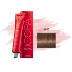 Igora Royal 6-65 Rubio Oscuro Marrón Dorado