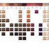 SKP_ICT_IG_Igora_Assortments_Core (3)_page-0001