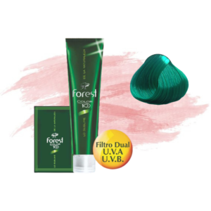 Forest Tinte Verde Bosque
